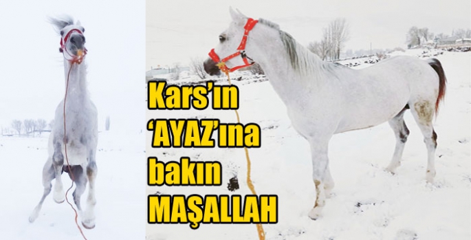 Kars’ın ‘AYAZ’ına bakın MAŞALLAH