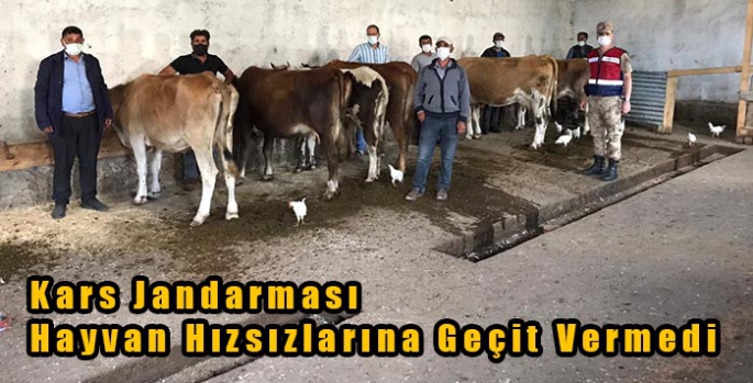 Kars Jandarması Hayvan Hızsızlarına Geçit Vermedi