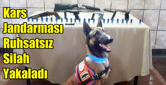 Kars Jandarması Ruhsatsız Silah Yakaladı