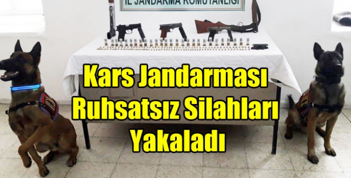 Kars Jandarması Ruhsatsız Silahları Yakaladı