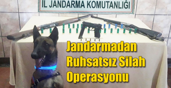 Kars Jandarmasından Ruhsatsız Silah Operasyonu