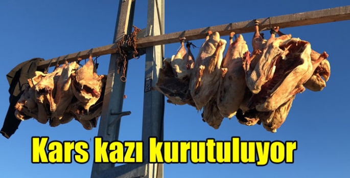 Kars kazı kurutuluyor