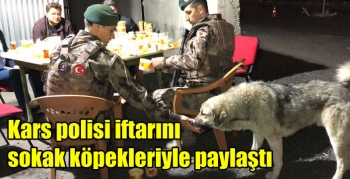 Kars polisi iftarını sokak köpekleriyle paylaştı