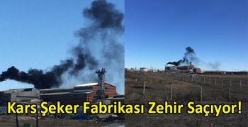 Kars Şeker Fabrikası Zehir Saçıyor!