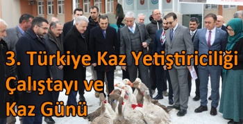 Kars’ta 3. Türkiye Kaz Yetiştiriciliği Çalıştayı ve Kaz Günü