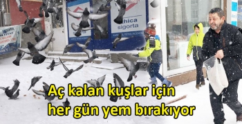 Kars’ta aç kalan kuşlar için her gün yem bırakıyor