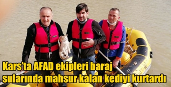 Kars’ta AFAD ekipleri baraj sularında mahsur kalan kediyi kurtardı