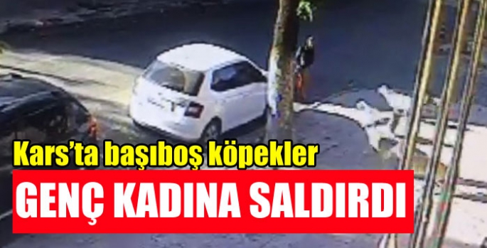 Kars’ta başıboş köpekler genç kadına saldırdı