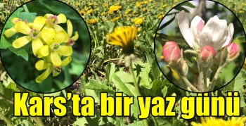 Kars’ta bir yaz günü