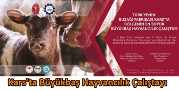 Kars’ta Büyükbaş Hayvancılık Çalıştayı düzenlenecek