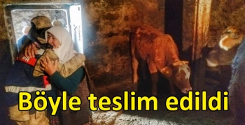 Kars’ta çalınan hayvanlar sahibine teslim edildi