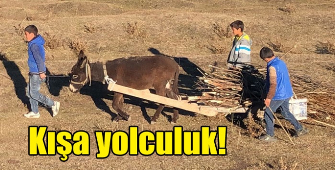 Kars’ta çocuklar evlerine kışlık yakacak taşıyor