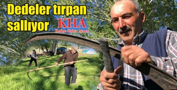 Kars’ta dedeler tırpan sallıyor