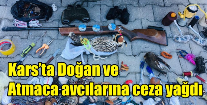 Kars’ta Doğan ve Atmaca avcılarına ceza yağdı