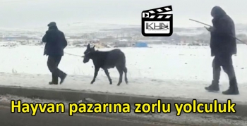 Kars’ta hayvan pazarına zorlu yolculuk