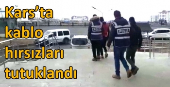 Kars’ta kablo hırsızları tutuklandı