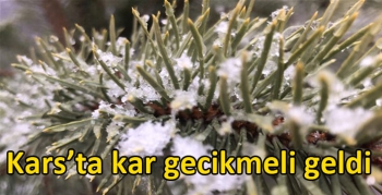 Kars’ta kar gecikmeli geldi