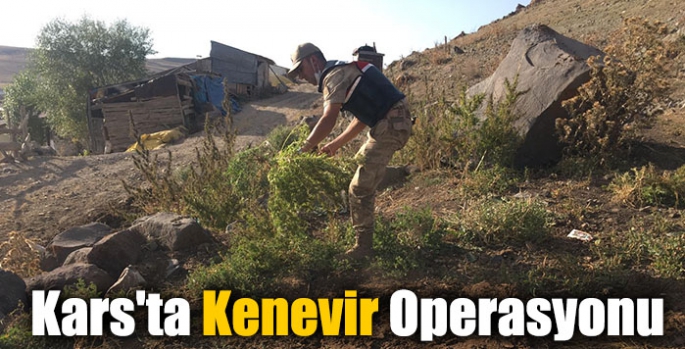 Kars'ta Kenevir Operasyonu