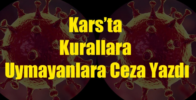 Kars’ta Kurallara Uymayanlara Ceza Yazdı