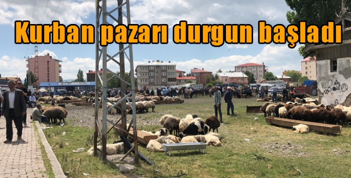 Kars’ta kurban pazarı durgun başladı