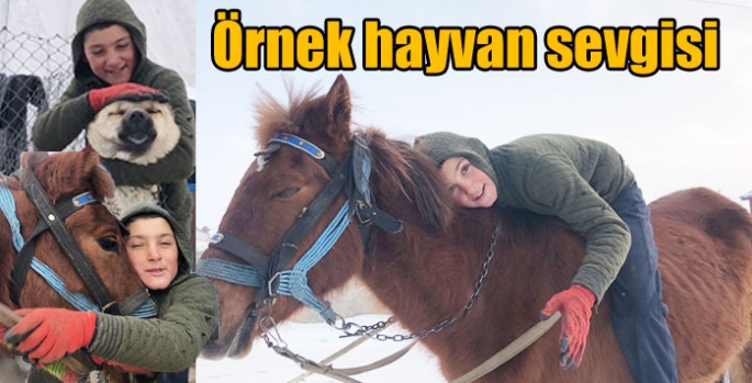 Kars’ta örnek hayvan sevgisi – Cumhuriyet Köyü (Kamasor)