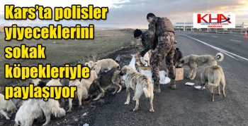 Kars’ta polisler yiyeceklerini sokak köpekleriyle paylaşıyor