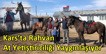 Kars’ta Rahvan At Yetiştiriciliği Yaygınlaşıyor