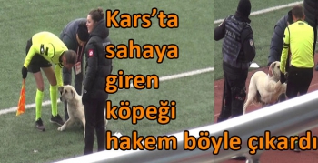 Kars’ta sahaya giren köpeği hakem böyle çıkardı