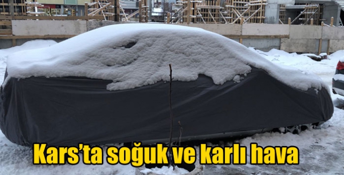 Kars’ta soğuk ve karlı hava