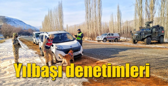 Kars’ta yılbaşı denetimleri