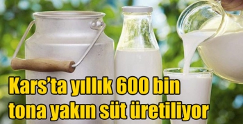 Kars’ta yıllık 600 bin tona yakın süt üretiliyor