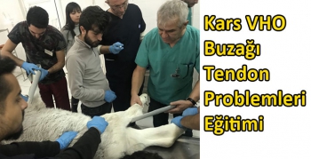 Kars VHO Buzağı Tendon Problemleri Eğitimi