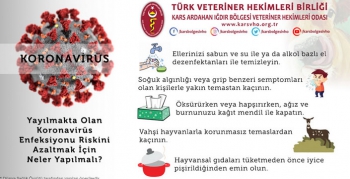 Kars VHO, Koronavirüs Salgını Hakkında Güncel Bilgileri paylaştı