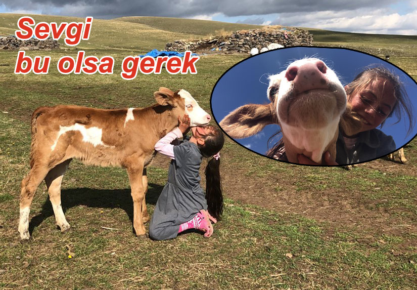 Karslı çocukların örnek hayvan sevgisi