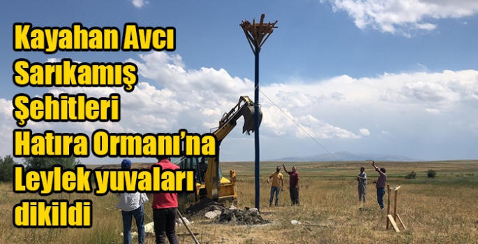 Kayahan Avcı Sarıkamış Şehitleri Hatıra Ormanı’na Leylek yuvaları dikildi