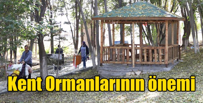 Kent Ormanlarının önemi