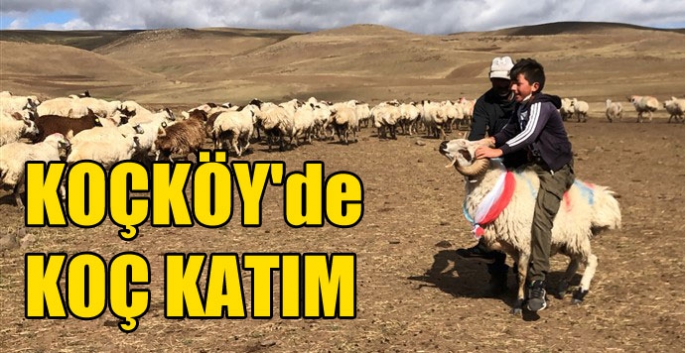 Koçköy'de 'koç katım' töreni