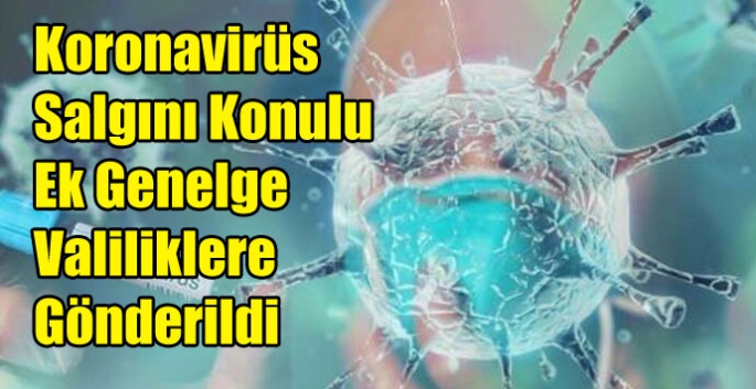 Koronavirüs Salgını Konulu Ek Genelge Valiliklere Gönderildi