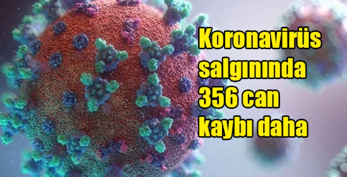 Koronavirüs salgınında 356 can kaybı daha