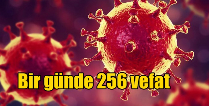 Koronavirüs salgınında bir günde 256 vefat