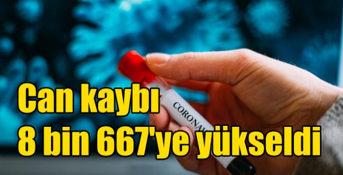 Koronavirüs salgınında can kaybı 8 bin 667'ye yükseldi