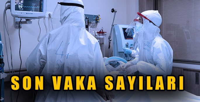 Koronavirüs salgınında günlük vaka sayısı