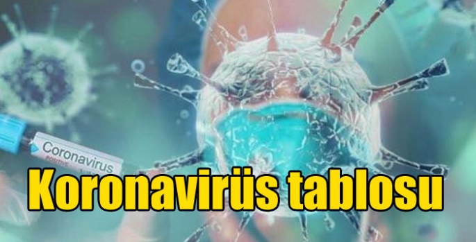 Koronavirüs tablosu