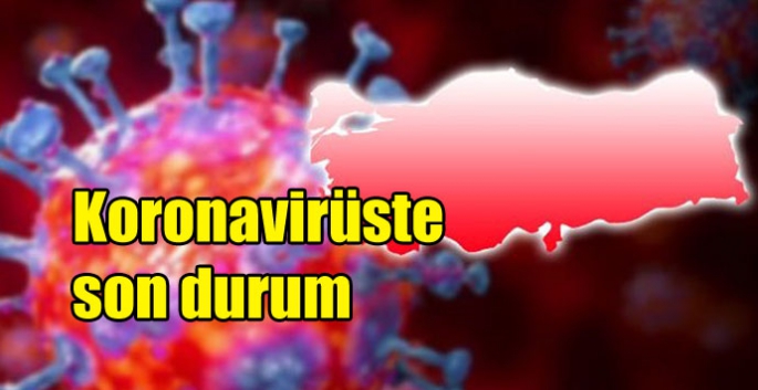 Koronavirüste son durum