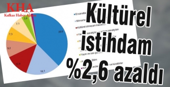 Kültürel istihdam azaldı