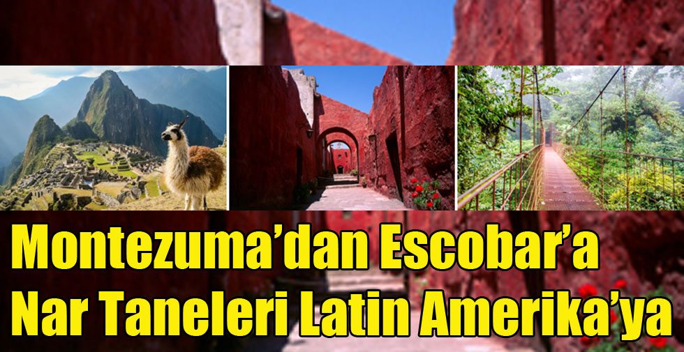 Montezuma’dan Escobar’a Nar Taneleri Latin Amerika’ya