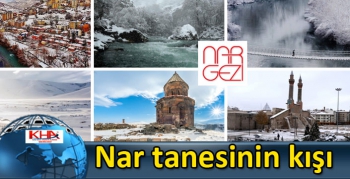 Nar tanesinin kışı