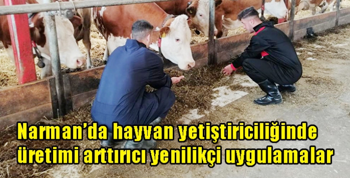 Narman’da hayvan yetiştiriciliğinde üretimi arttırıcı yenilikçi uygulamalar