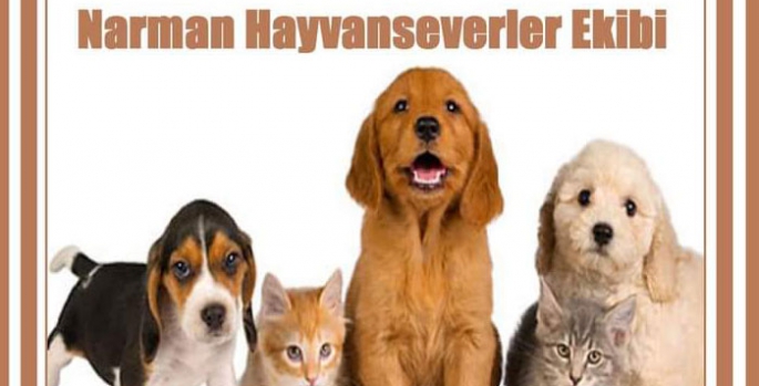 Narman Hayvanseverler Ekibi