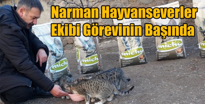 Narman Hayvanseverler Ekibi Görevinin Başında